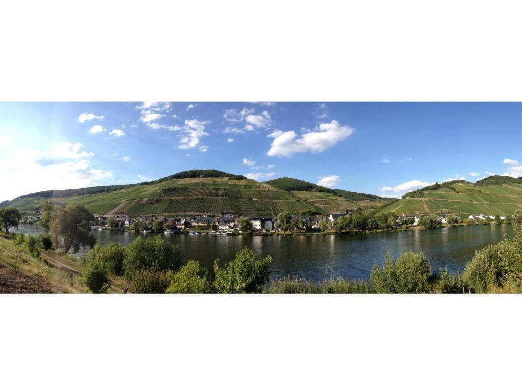 Ferienwohnung Am Moselufer Zell an der Mosel Exterior foto
