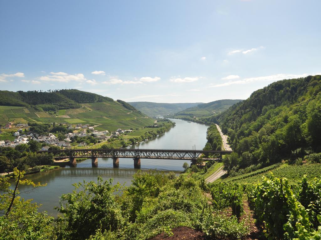 Ferienwohnung Am Moselufer Zell an der Mosel Exterior foto